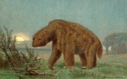 Megatherium Cuvier, 1796