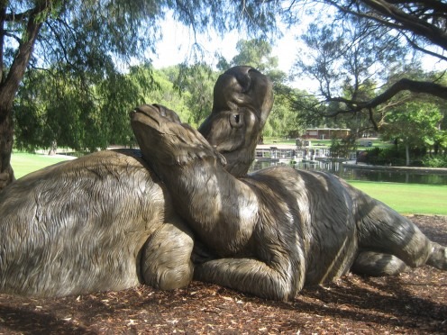 Diprotodon, Kings Park Perth